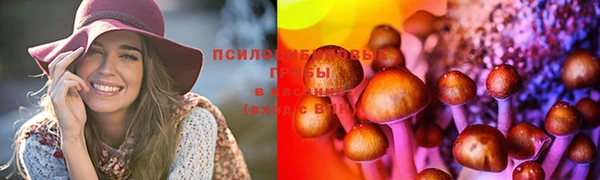 винт Семикаракорск