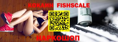 гашик Дубна