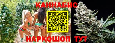 гашик Дубна