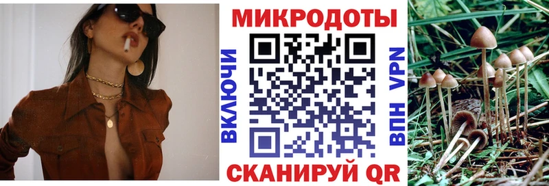 Псилоцибиновые грибы GOLDEN TEACHER  Челябинск 