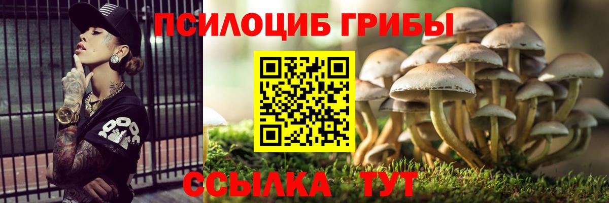 Челябинск  Псилоцибиновые грибы GOLDEN TEACHER  Псилоцибиновые грибы ЛСД  Вход с VPN 